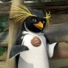 smackpayoff6's Avatar